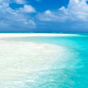 Meet your Posher, Aubrey